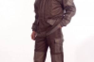 Работа 2981371