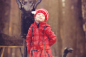 Работа 2772329