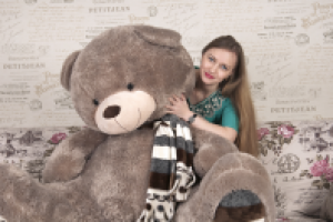 Работа 2772306