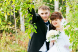 Работа 2772384