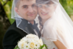 Работа 2772373