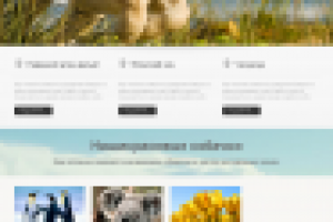 Питомник  - Drevneesolnce