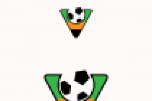 фирменный знак