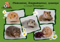 img346125.png