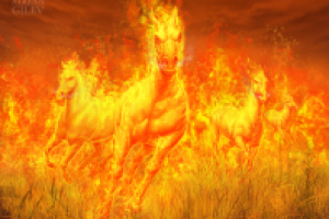 карта для настольной иргы