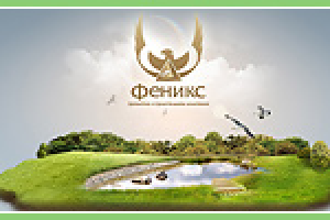 ПСК Феникс
