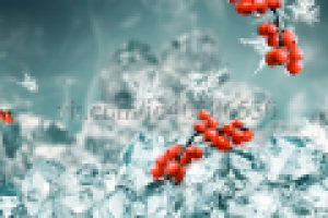 Фартук Рябина