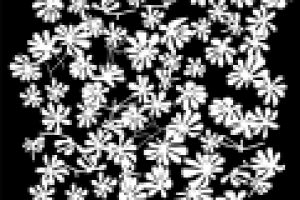 Зеркало Glaverbel