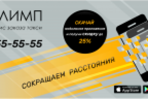 Работа 3127817