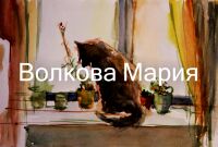 img2864266.png