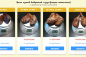 Бобровая струя