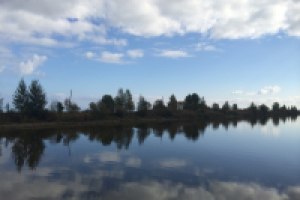 Работа 2745224