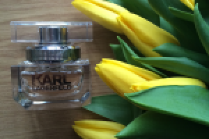 Работа 2745209