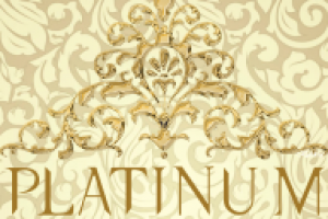 Работа 3057273