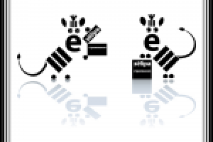 Зёбра страхования