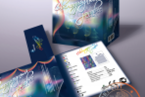 Светодиодный занавес