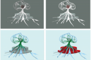 Символ,памятник