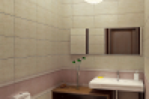 Гостевой туалет для загородного дома