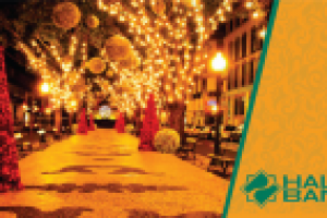 флаер Халык банка