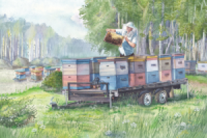 Иллюстрация для календаря. Июль. Пасека