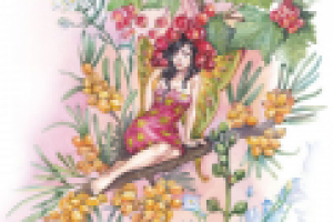 Фрагмент иллюстрации для косметического подарочного набора.