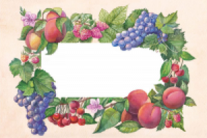 Иллюстрация для упаковки мыла