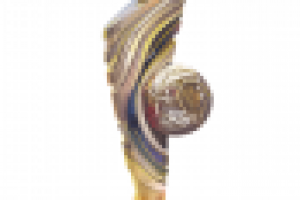 Кубок. Иллюстрация для игры "Путь тренера. Футбол"