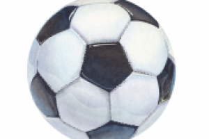 Мяч. Иллюстрация для игры "Путь тренера. Футбол"