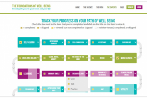 The Foundations of Well-Being, Drupal, HTML, CSS, JS, jQuery