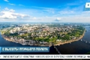 Работа 3206803