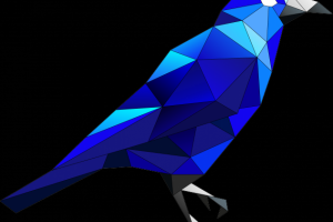 для фотографа