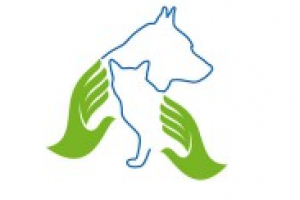 Компания B.FOX