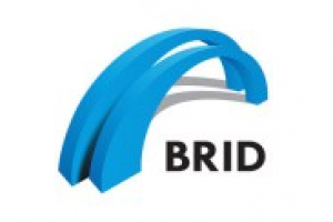 Компания BRID