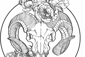 Череп Барана и пионы. Графика