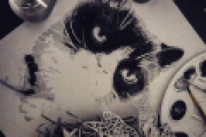 Grumpy Cat в стиле поп-арт