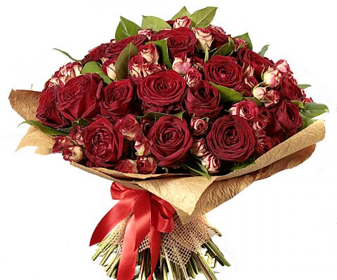 img3214295.png