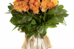 Работа 3214294