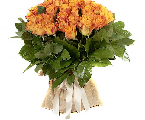 img3214294.png
