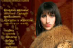 Штендер «Гепард»