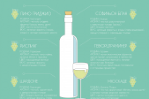 Винная инфо-иллюстрация