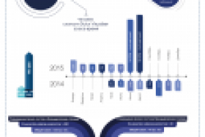 Элементы инфографики для презентации Dulux