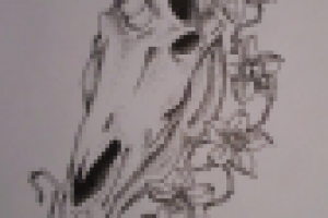 Единороги существовали!