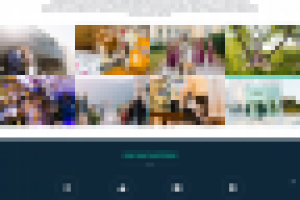 Работа 3114133