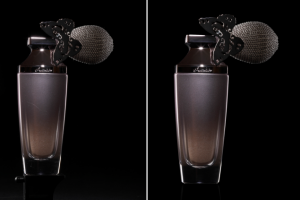 Обтравка, замена фона, устранение пыли и царапин, глянец