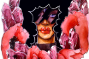 гранат и маки