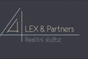 Логотип для риэлторской фирмы в Праге