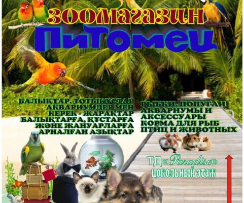 img3214091.png