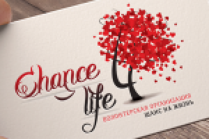 Работа 2441408