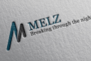 Работа 2390198