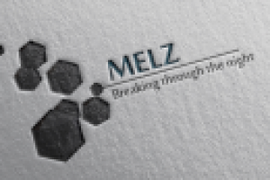 Работа 2390195